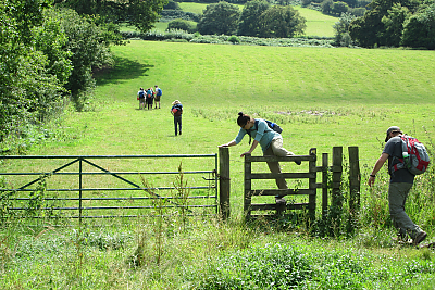 Students walking through a lush field with a fence and gate in the foreground