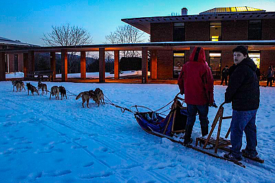 Sled dog team on the Quad at Landmark College