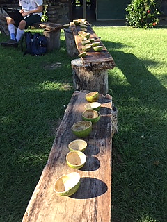 Our finished bowls drying in the sun