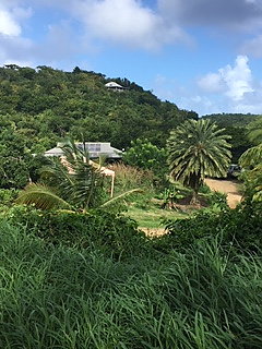 View of the farm from the road