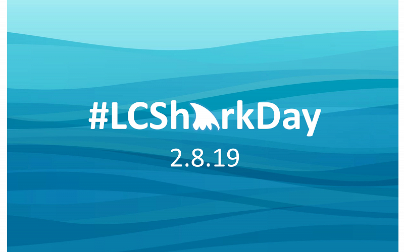 #LCSharkDay 2019 thumbnail Photo