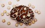 Side view of a figure of a brain overlaid with puzzle pieces