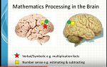 Mathematics processing in the brain - screenshot
