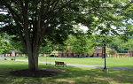 Summer LC quad with tree swing and bench