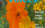 Cover of Voices Volume 3 Issue 1