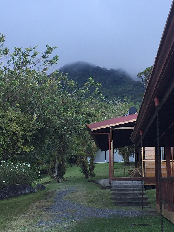 cloud forest cabins