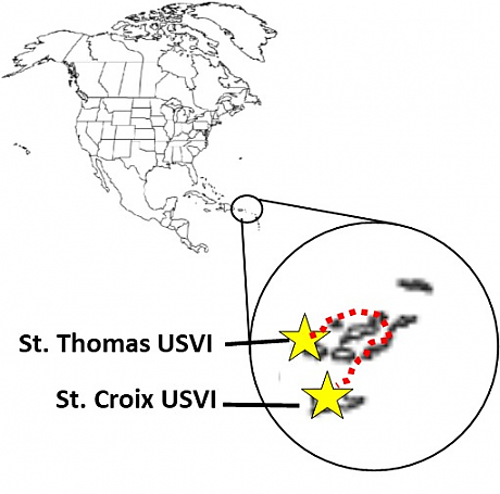 Map of the USVI showing St. Thomas and St. Croix