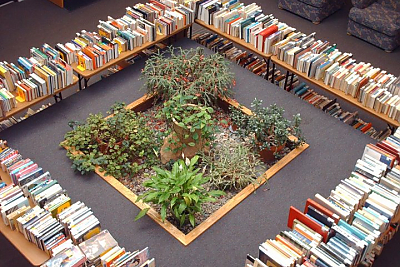 Overhead shot of book sale in the Landmark College Library