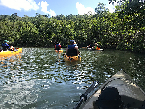 Landmark College students kayaking on the Salt River in the Caribbean