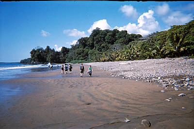 group walking down the beach