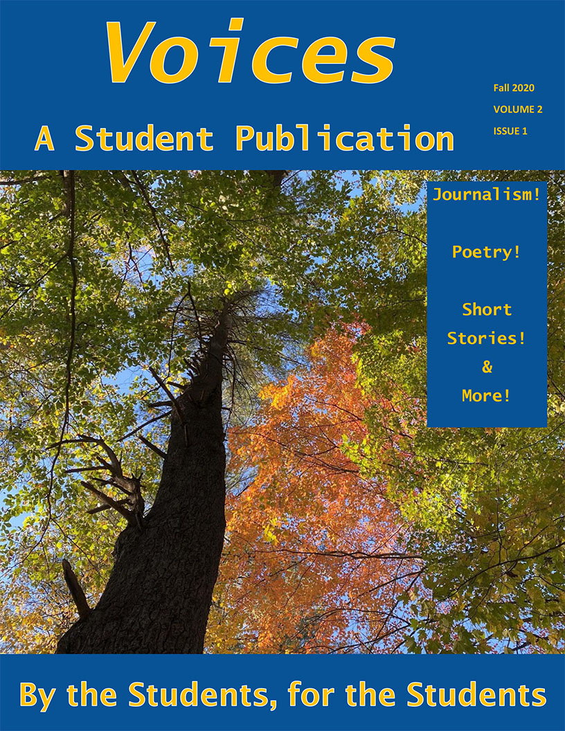 Cover of Voices, volumne 2 issue one includes a photo taken from the base of a tall tree, looking up at blue sky through autumn-colored foliage